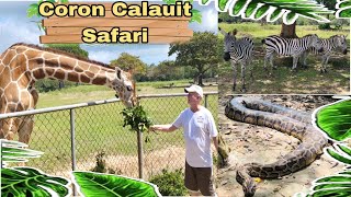 Calauit Safari Park Tour  Coron Palawan [upl. by Eyde]