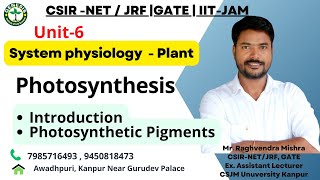 Photosynthesis  Chlorophylls Carotenoids and Phycobilins  Light harvesting complexes  L5 [upl. by Torhert911]