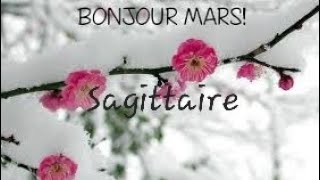 🌸Sagittaire mars 2024🌸 cartomancie prédiction voyance astrologie horoscope sagittaire [upl. by Doralynne]