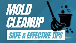 Get Rid of Mold How to Remove and Clean Mold Safely [upl. by Shutz]