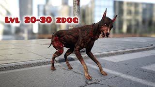 wild animals online LVL 30 ZDOG reupload [upl. by Nawiat]