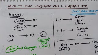 Trick to Find Conjugate Acid and Conjugate Base  Ionic Equilibrium Tricks [upl. by Keldah]