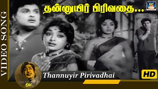 தன்னுயிர் பிரிவதை பாடல்  Thannuyir Pirivadhai Video Song  Panam Padaithavan  MGR  KR Vijaya  HD [upl. by Auohp]