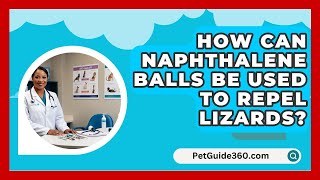 How Can Naphthalene Balls Be Used to Repel Lizards  PetGuide360com [upl. by Winslow189]