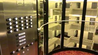 Hotel Tour Hyatt Regency in Atlanta GA [upl. by Jehanna898]