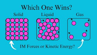 IM Forces vs TemperatureWhich One Wins [upl. by Odnomyar206]