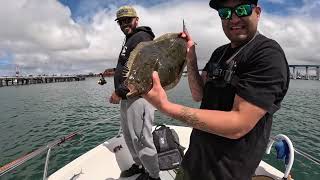 Fishing San Diego bay Spotties halibut 052524 Hookup Baits [upl. by Haelam]