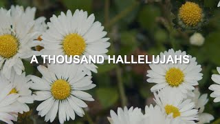 A Thousand Hallelujahs  Maranatha Music Lyric Video [upl. by Konopka]