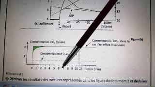 SVT 2Biof correction les voies de la régénération de LATP dans le muscle [upl. by Llehsam437]