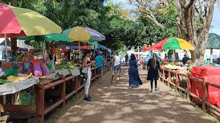 rivière du rempart  Mauritius [upl. by Siloam143]