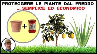 PROTEGGERE LE PIANTE DAL FREDDO CON UN METODO SEMPLICE ED ECONOMICO [upl. by Elvyn]