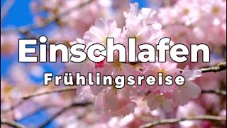 Frühlingsreise  Meditation zum Einschlafen und Entspannen mit Stimme  Stress und Sorgen loslassen [upl. by Lorelle]