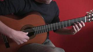 Pirates of the Caribbean  quotHes a Piratequot Guitar Cover [upl. by Sloane897]