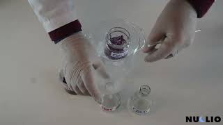 Tie Dyepart 1  Extraction of Anthocyanins [upl. by Attesoj]