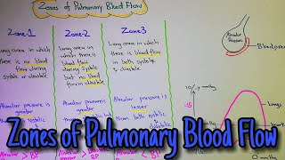 Zones of pulmonary blood flow Chapter 39 part 4 Guyton and hall text book of physiology [upl. by Tisha]