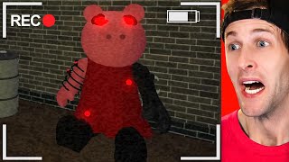 ROBLOX PIGGY HALLUCINATIONS NIGHT 1 [upl. by Armillda112]