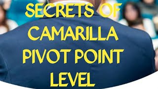 The hidden secrets of Camarilla Pivot Point revealed [upl. by Alue196]