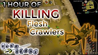 OSRS Killing Flesh Crawlers in F2P  The Most AFK Training Method [upl. by Natka]