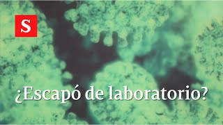 El laboratorio de Wuhan niega haber dejado escapar el coronavirus  Videos Semana [upl. by Bradly]