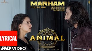 ANIMAL MarhamPehle Bhi MainLyrical Ranbir KapoorTripti Dimri SandeepVishal MRaj SBhushan K [upl. by Bilicki]