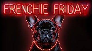 No Cap Frenchie Friday Ep 2 [upl. by Wye663]