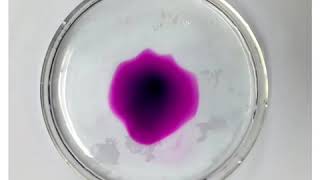 Diffusion of Potassium Permanganate in Water [upl. by Connors]