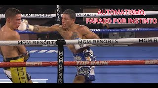 quotAlacranquot Berchelt vs Oscar Valdez [upl. by Licha848]