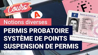 Permis probatoire système de points et suspension de permis [upl. by Ynnos]