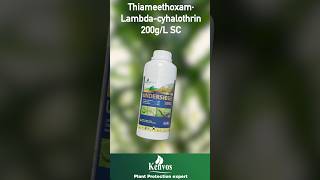 Thiameethoxam•Lambdacyhalothrin 200gL SC protect you crops from pests [upl. by Yeslek]