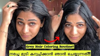 ✅നരച്ച മുടി കറുപ്പിക്കാൻ ഞാൻ ചെയ്യുന്നത്Grey Hair മറക്കാൻ Hair Dye ഞാൻ ചെയ്യന്ന രീതിNon sponsored [upl. by Husch]