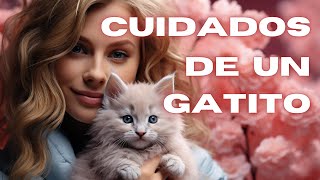 🐈¡BIENVENIDO a Casa Cómo cuidar a un GATITO cachorro 😼 [upl. by Reis14]