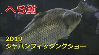 2019ジャパンフィッシングショー横浜へらぶなめぐりの旅 [upl. by Ennaul]