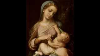 Jacquet de Mantua Repleatur os meum Correggio [upl. by Stedmann]