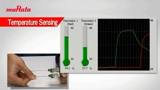 Temperature Sensor Thermo String Type [upl. by Ttegdirb]