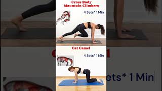 Cross Body Mountain ClimbersCat Camel muscletoningexercises beginner flexibility stretching [upl. by Hardie982]