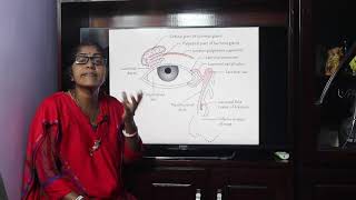 Lecture on Lacrimal Apparatus [upl. by Malkah]