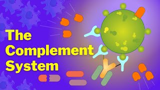 The Complement System is SO EASY Stop Making it Hard [upl. by Dirgni]