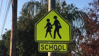 School Zone Speed Limit Explained [upl. by Beverlie769]