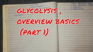 glycolysis  overview basics part 1 [upl. by Gaige714]