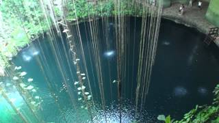 SACRED CENOTE  CANCUN  MEXICO [upl. by Mroz]