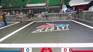 2024 Birmingham Jiu Jitsu Championships  Mat 10 [upl. by Abrahamsen259]