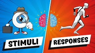 STIMULI and RESPONSES  Types  Interaction  Primary Education Grade 56  Elementary  Kids [upl. by Ayifa373]