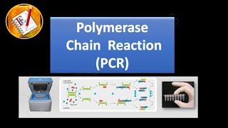 Basic Concepts 01  Polymerase Chain Reaction PCR [upl. by Lail304]