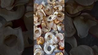 Effortless Summer Fruit Drying Delicious DIY Guide diyfruit healthysnacks [upl. by Ataymik109]