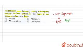 The bacteriumbelonging to group actinomycetes produces N2fixing nodules [upl. by Aivatnwahs]