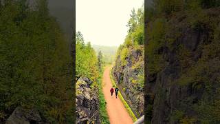 Đặc sản núi rừng ở Na Uy 1 tiếng hái 5kg nấm rừng ngon🍄Picking mushrooms in the woods in Norway [upl. by Cosette660]