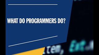 What Does a Programmer Do The Life of a Programmer [upl. by Aneez]