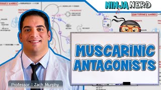 Autonomic Pharmacology  Muscarinic Antagonists [upl. by Ylla406]