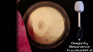 Paiste  28quot Bronze Gong No 9 NON297  Gongs Unlimited [upl. by Adierf904]