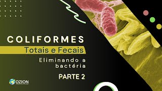 Como eliminar coliforme total e fecal E coli parte2 [upl. by Nally]